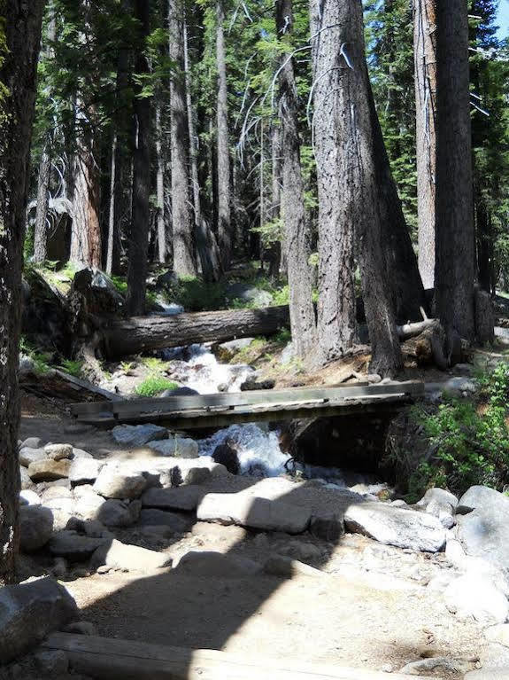 Stony Creek Lodge Sequoia National Park Εξωτερικό φωτογραφία