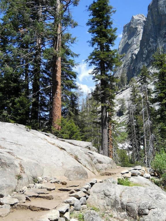 Stony Creek Lodge Sequoia National Park Εξωτερικό φωτογραφία