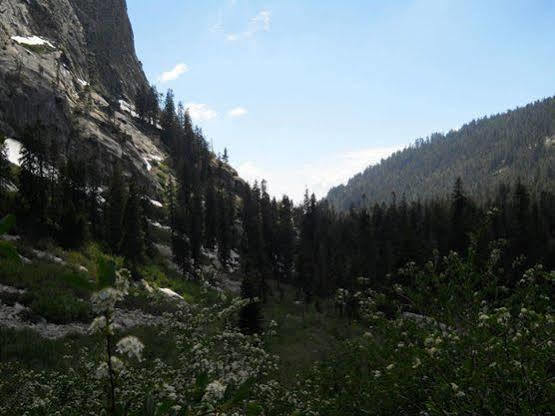 Stony Creek Lodge Sequoia National Park Εξωτερικό φωτογραφία