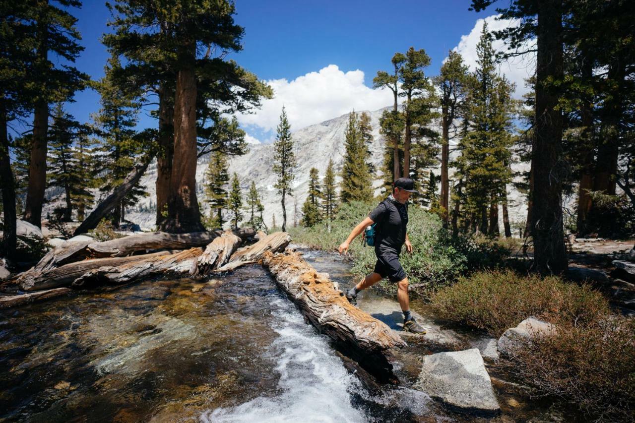 Stony Creek Lodge Sequoia National Park Εξωτερικό φωτογραφία