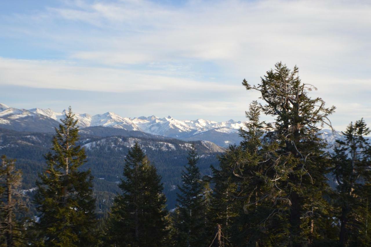 Stony Creek Lodge Sequoia National Park Εξωτερικό φωτογραφία